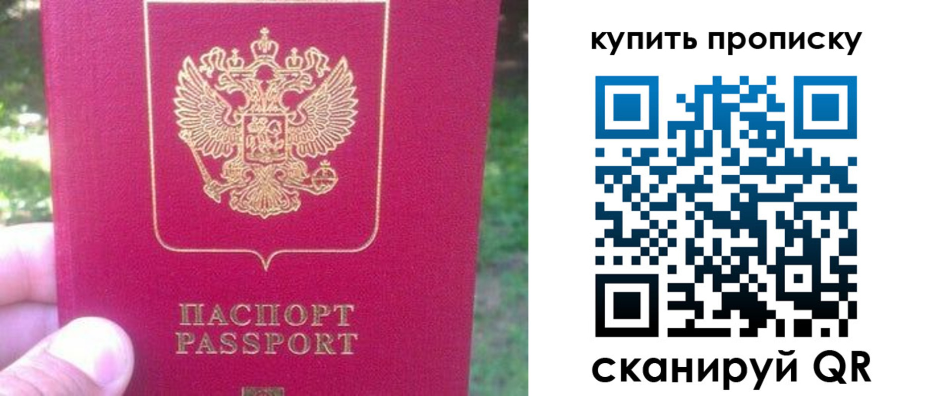 временная регистрация для школы в Липецкая области